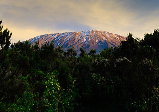Mount Kilimanjaro Adventure